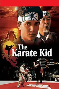 The Karate Kid (1984) Dual Audio {Hindi-English} 480p | 720p | 1080p