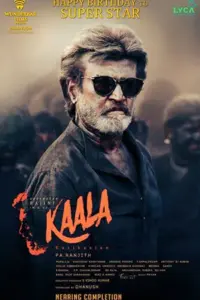 Kaala (2018) Dual Audio WEB-DL Full Movie 480p | 720p | 1080p