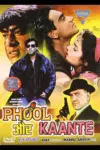 Phool Aur Kaante (1991) Hindi Full Movie WeB-DL 480p | 720p | 1080p
