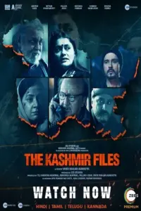 The Kashmir Files (2022) WEB-DL Hindi Full Movie 480p | 720p | 1080p