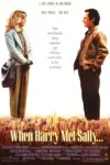 When Harry Met Sally (1989) Dual Audio {Hindi-English} 480p | 720p | 1080p