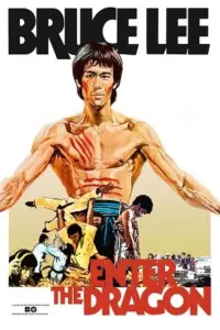 Enter the Dragon (1973) Dual Audio {Hindi-English} 480p | 720p | 1080p