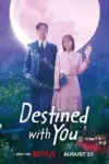 Destined With You – Netflix Original (2023) Season 1 Complete Dual Audio {Hindi-Korean} Series 480p | 720p | 1080p WEB-DL