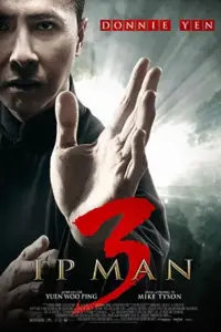 Ip Man 3 (2015) BluRay Hindi Dubbed Full Movie 480p | 720p | 1080p