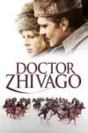 Doctor Zhivago (1965) Dual Audio WeB-DL 480p | 720p | 1080p