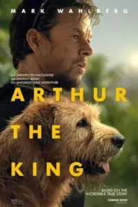 Arthur the King (2024) WEB-DL Dual Audio Full Movie 480p | 720p | 1080p