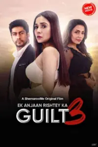 Ek Anjaan Rishtey Ka Guilt 3 (2024) Hindi Full Movie WEB-DL 480p | 720p | 1080p