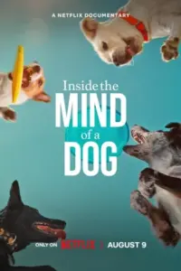 Inside The Mind Of A Dog – Netflix Original (2024) WEB-DL Dual Audio {Hindi-English} 480p | 720p | 1080p